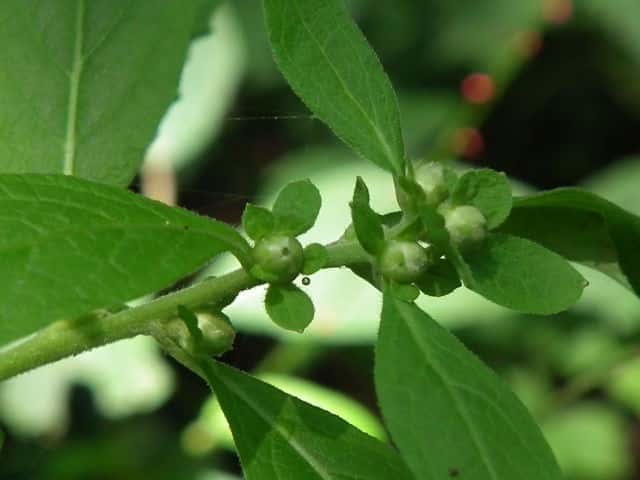 ���u�^�o�R