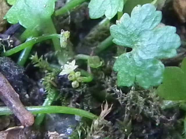 �q���`�h��