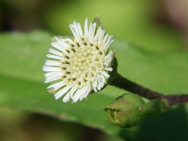 �^�J�T�u���E