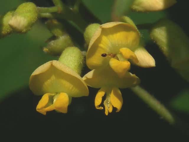 �g�L���}��