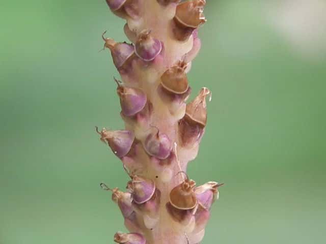 �g�E�I�I�o�R