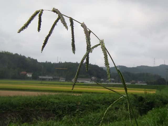 �V�}�X�Y���m�q�G