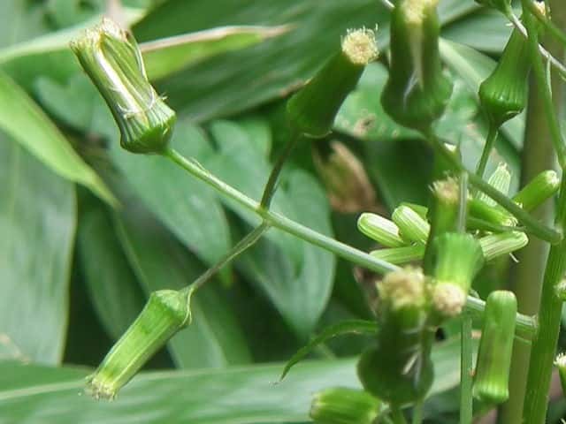 �_���h�{���M�N