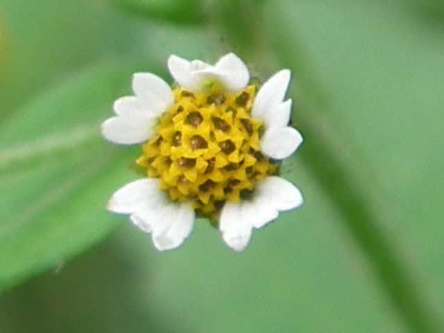 �n�L�_���M�N