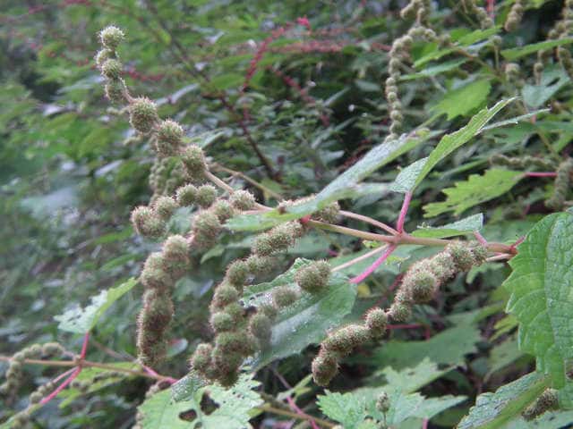 �����u�}�I