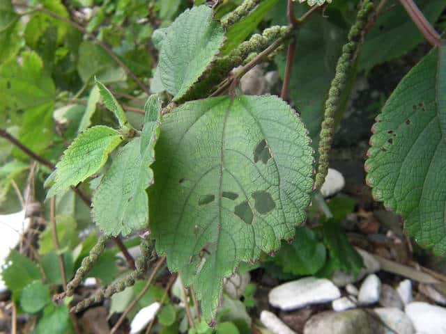 �j�I�E���u�}�I