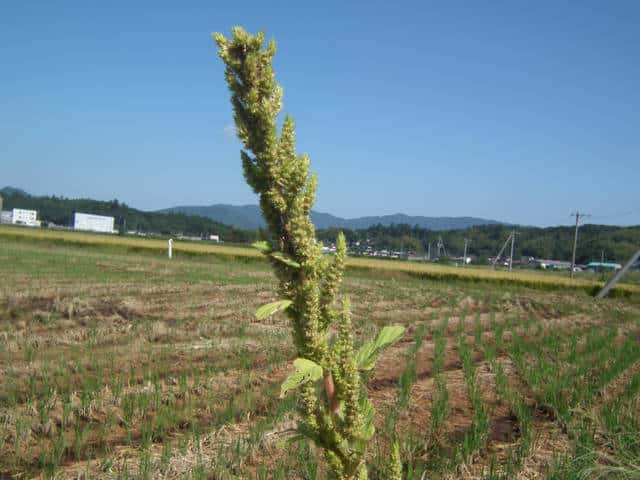 �z�\�A�I�Q�C�g�E