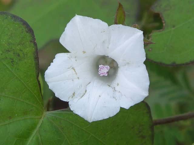 �}���A�T�K�I