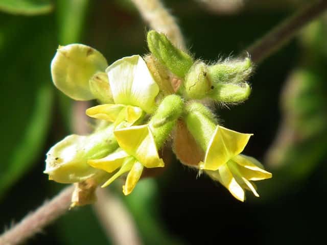 �^���L���}��