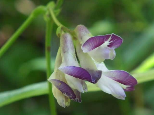 ���u�}��