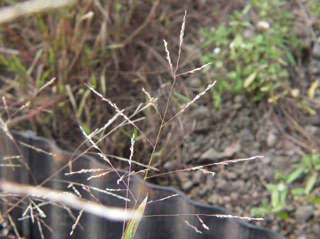 �I�I�N�T�L�r