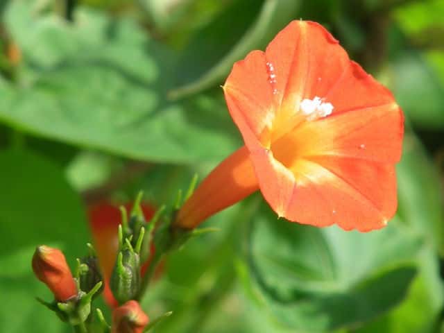 �}���o���R�E