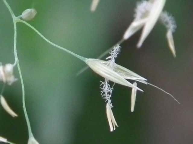 �m�K�����X