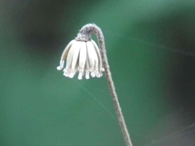 �q���K���N�r�\�E