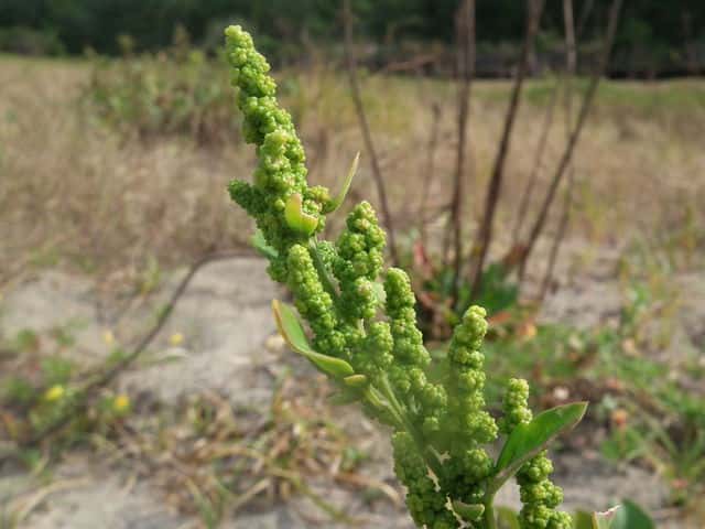 �z�\�o�A�J�U