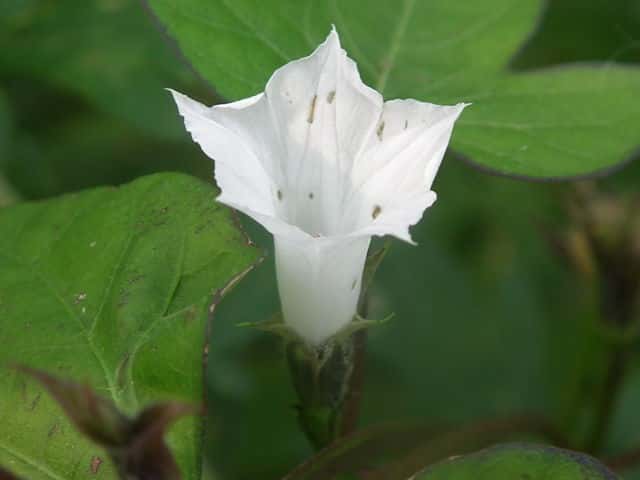 �}���A�T�K�I