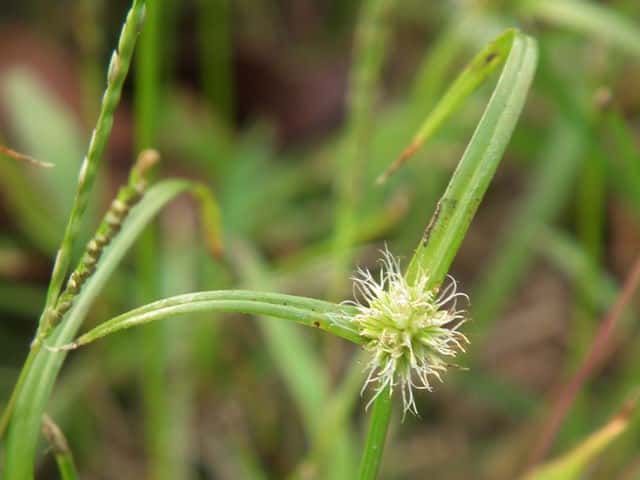 �A�C�_�N�O