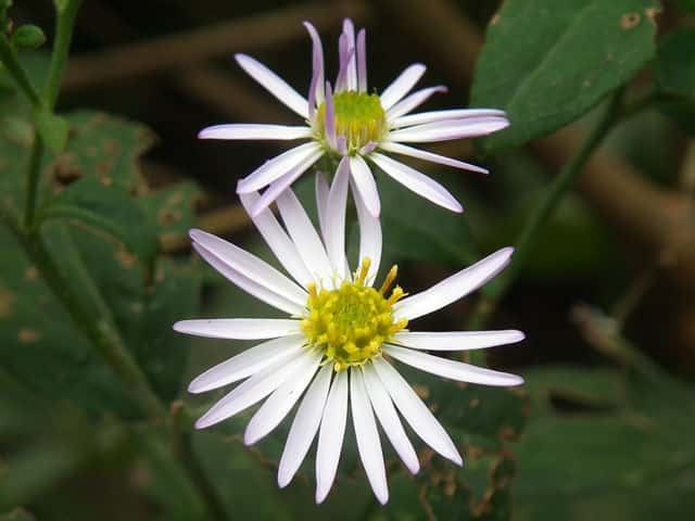 �m�R���M�N