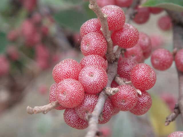 �}���o�A�L�O�~