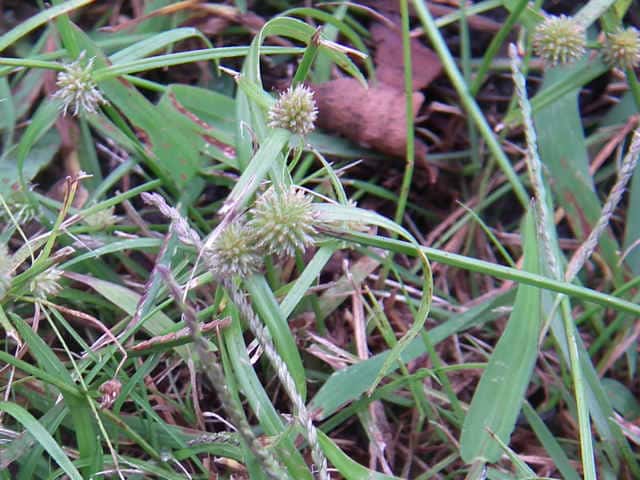 �A�C�_�N�O