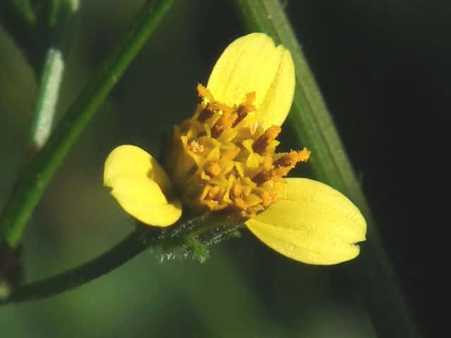 �Z���_���O�T