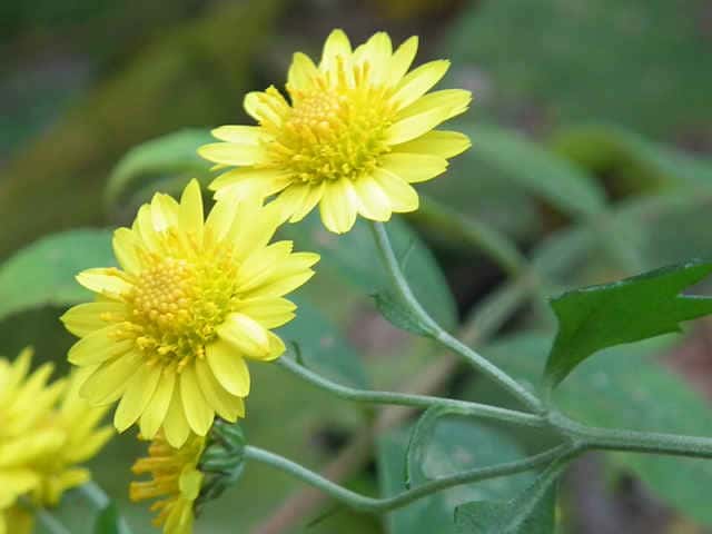 �L�N�^�j�M�N