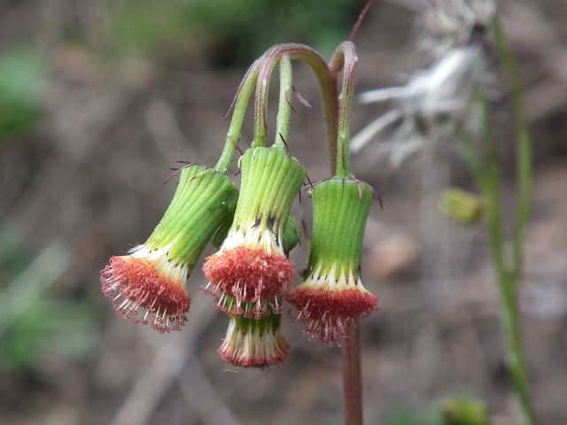 �x�j�o�i�{���M�N