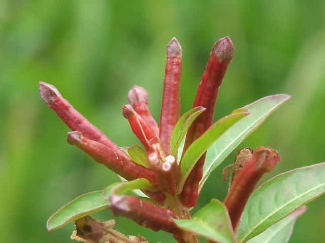 �`���E�W�^�f