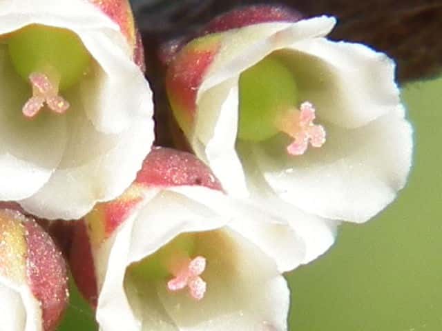 �n�}�q�T�J�L