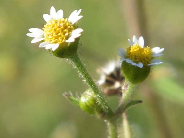 �n�L�_���M�N