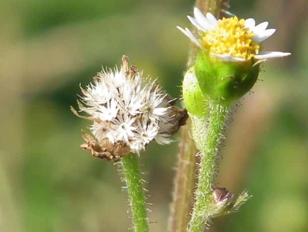 �n�L�_���M�N