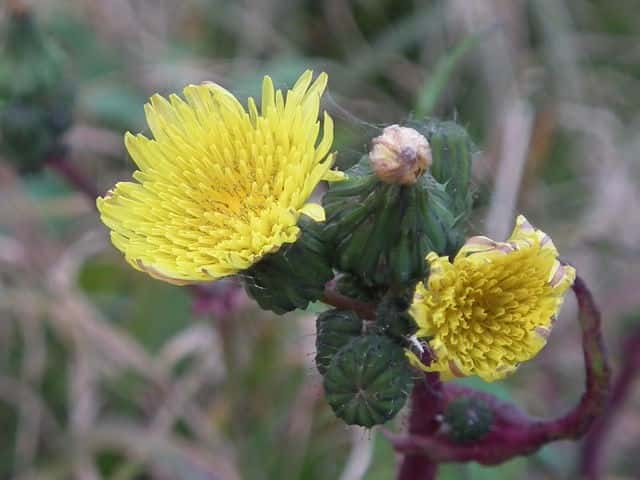 �A�C�m�Q�V