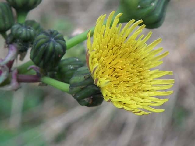 �I�j�m�Q�V