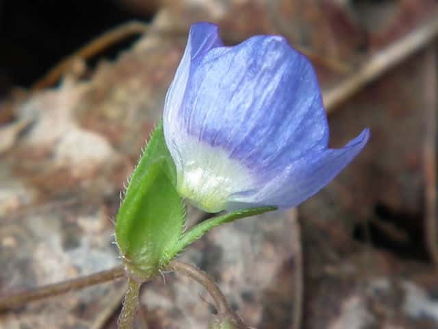 �I�I�C�k�m�t�O��