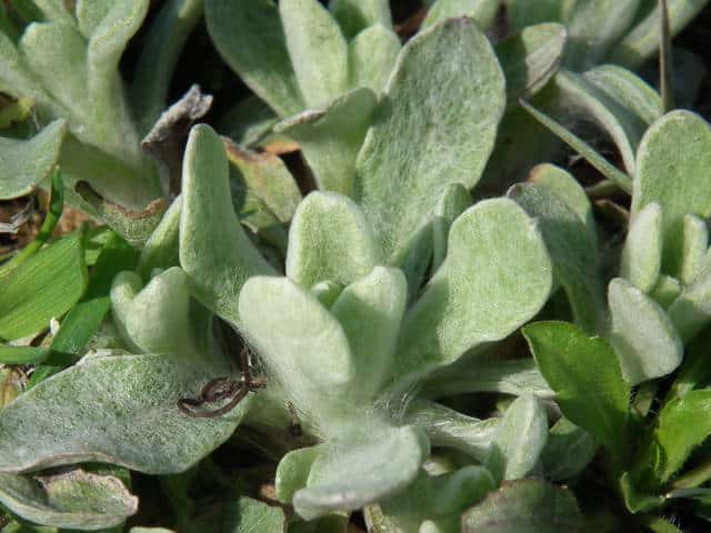 �n�n�R�O�T