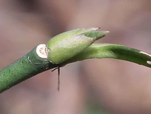 �����T�L�}���~