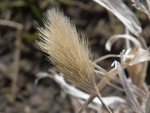 �n�}�G�m�R��