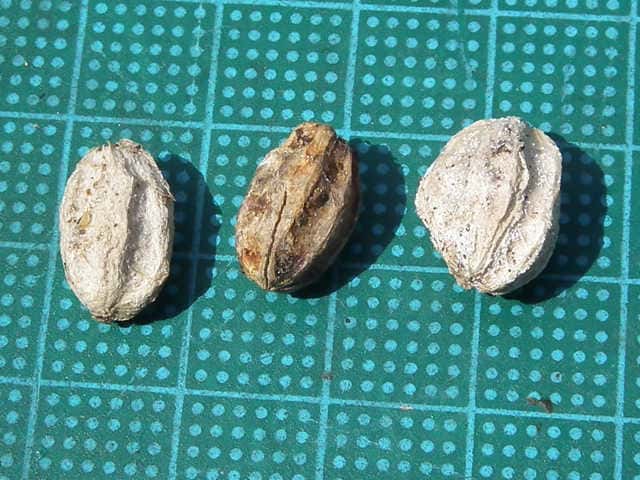 �Z���_��