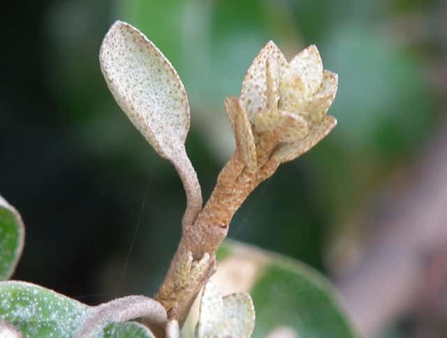 �I�I�o�O�~