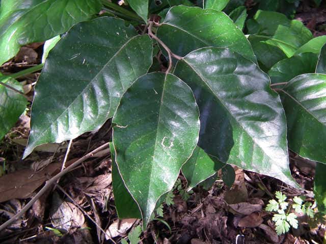 �I�I�o�O�~