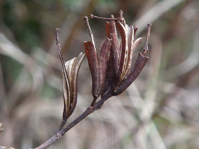 �^�j�E�c�M