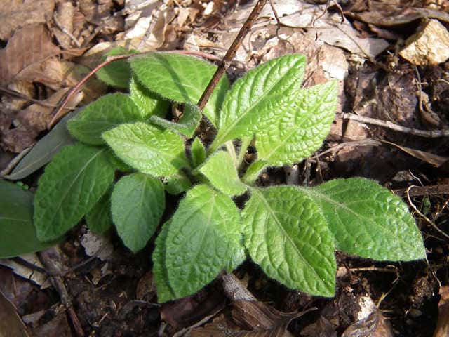 �K���N�r�\�E