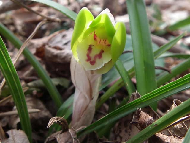 �V��������