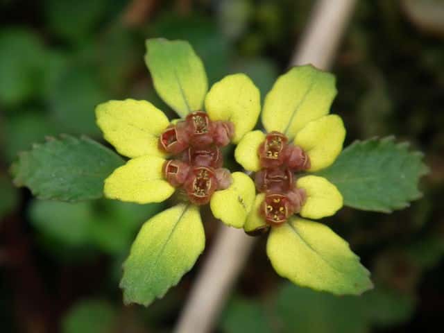 �{�^���l�R�m���\�E