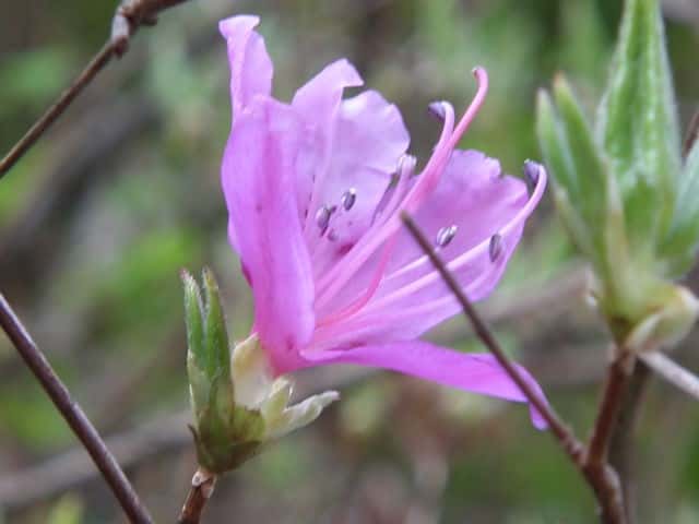 �R�o�m�~�c�o�c�c�W