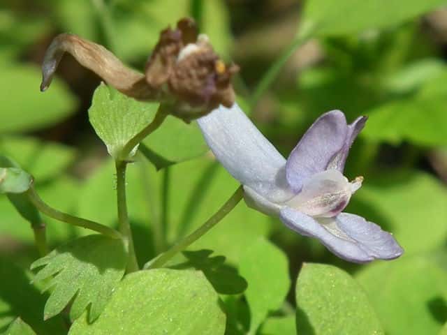 ���}�G���S�T�N