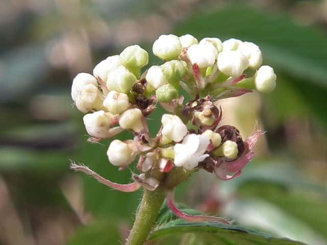 �~���}�K�}�Y�~