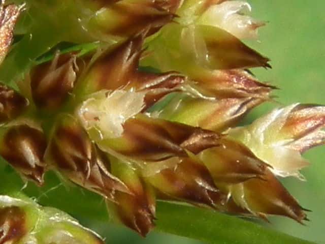 �X�Y���m����