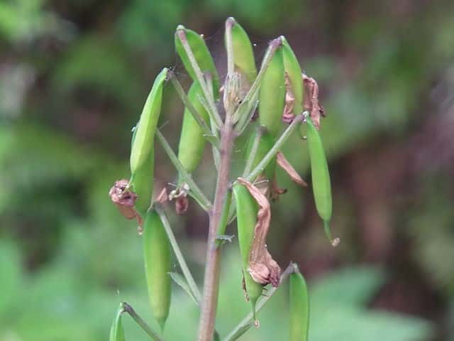 �����T�L�P�}��