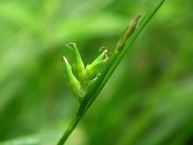 �R�W���Y�X�Q